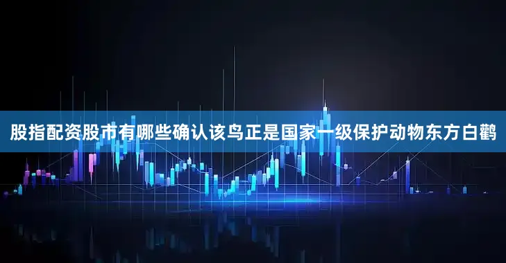 股指配资股市有哪些确认该鸟正是国家一级保护动物东方白鹳